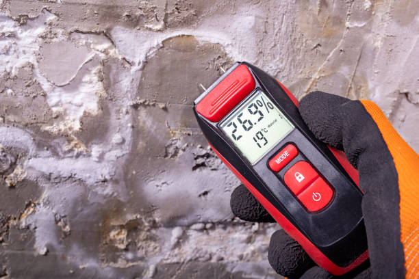 Trusted Graymoor Devondale, KY Mold Removal Experts