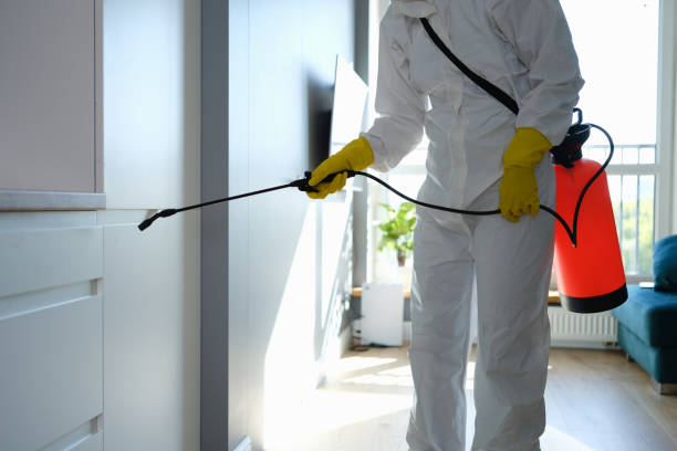 Best Certified Mold Removal  in Graymoor Devondale, KY