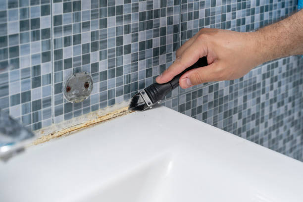 Best Local Mold Removal Service  in Graymoor Devondale, KY