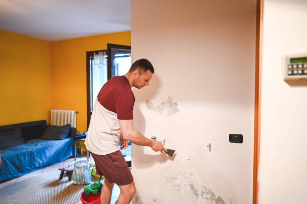 Best Mold Remediation  in Graymoor Devondale, KY